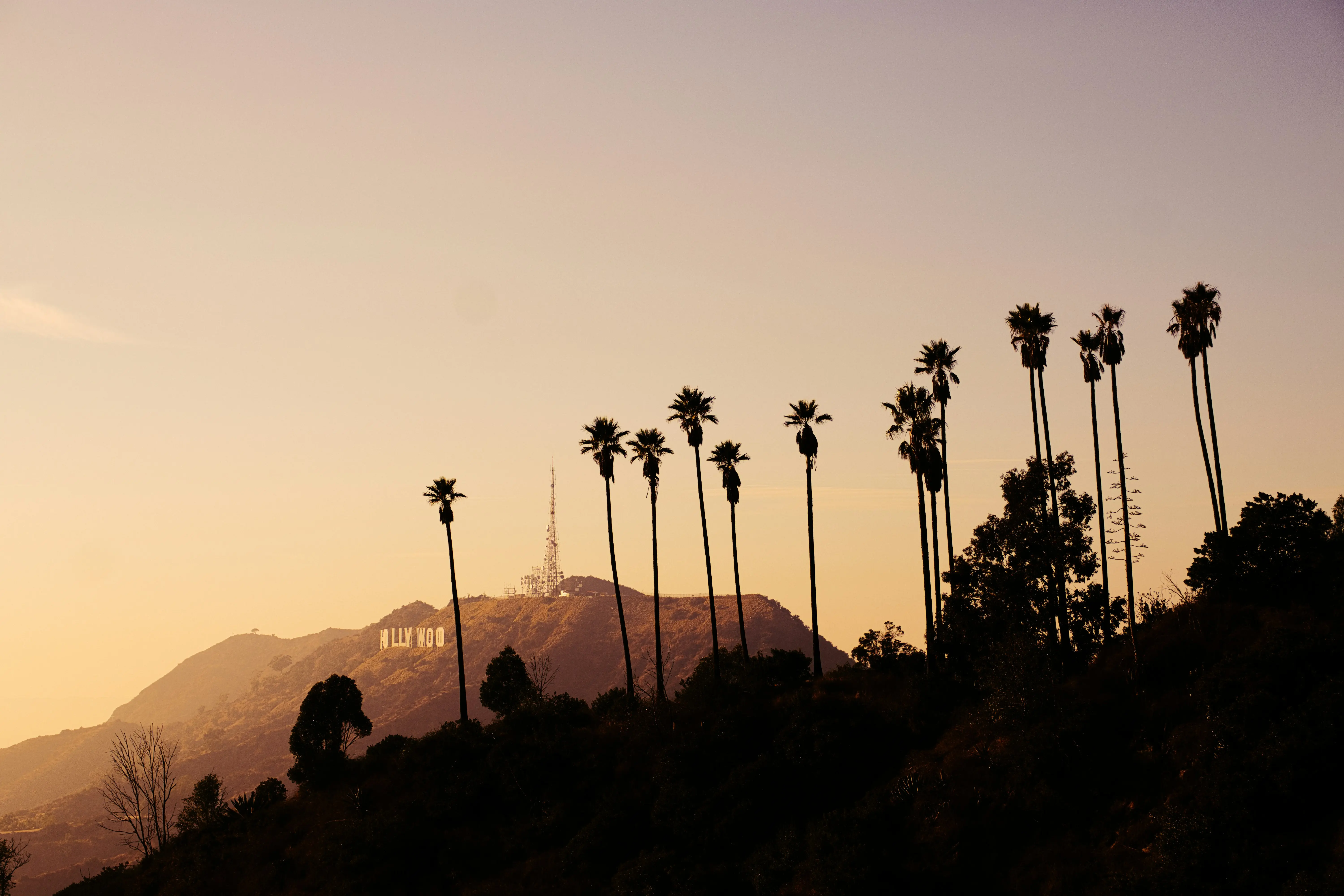 Los Angeles placeholder image